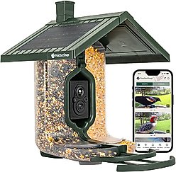 FeatherSnap Scout Wi-Fi Solar Powered Camera Smart Bird Feeder, Clear/Green, 2-L