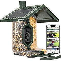 FeatherSnap Scout Wi-Fi Solar Powered Camera Smart Bird Feeder, Clear/Green, 2-L