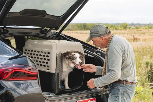 Show full view: Petmate Vari Dog & Cat Kennel, Tan, 32-in, 30-50-lbs slide 4 of 8