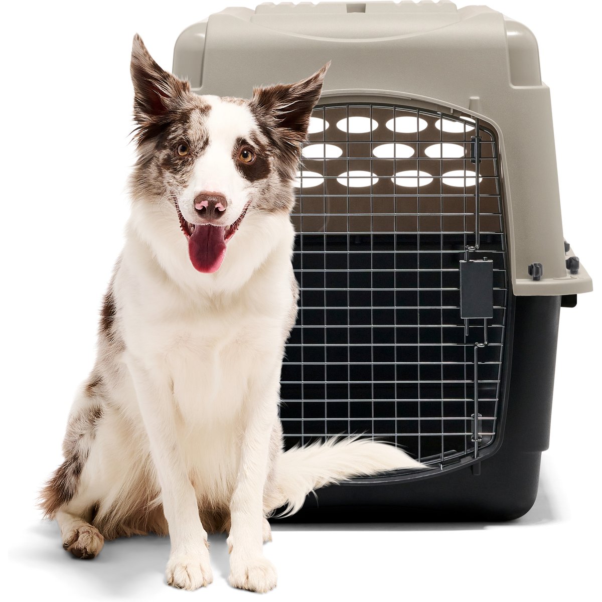 Petmate Vari Dog & Cat Kennel, Tan, 32-in, 30-50-lbs