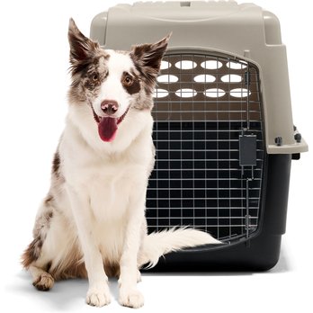 BEIGE DOG CRATES (Free Shipping) Chewy