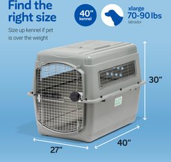 Petmate Sky Dog & Cat Kennel, X-Large slide 2 of 6