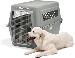 Petmate Sky Dog & Cat Kennel, Gray, 48 inches, 90-125-lbs