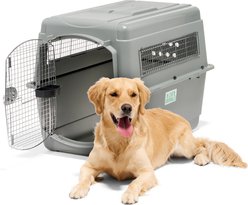 Petmate Sky Dog & Cat Kennel, X-Large