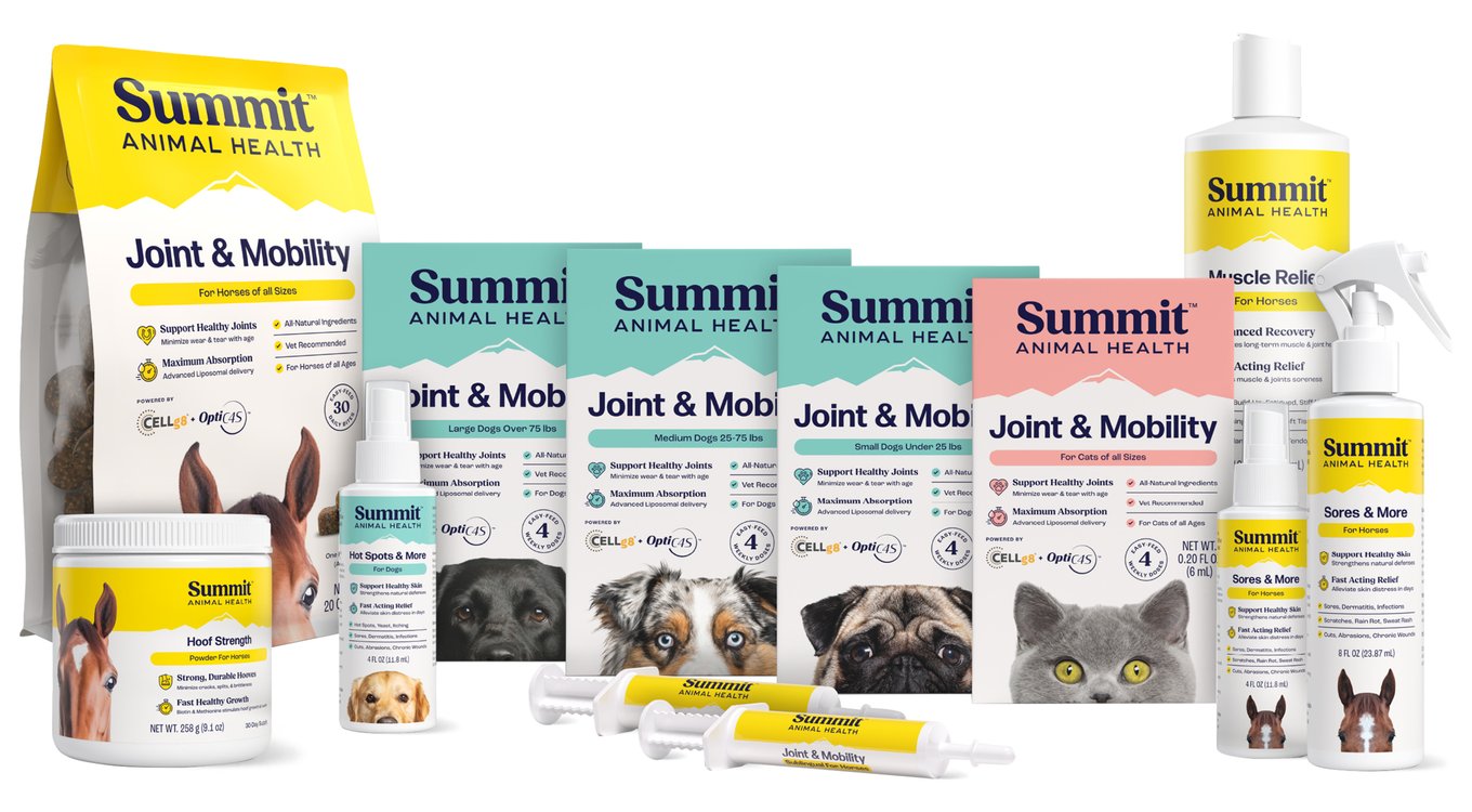 Summit Animal Health Joint & Mobility Bites Horse Supplement, 30 count