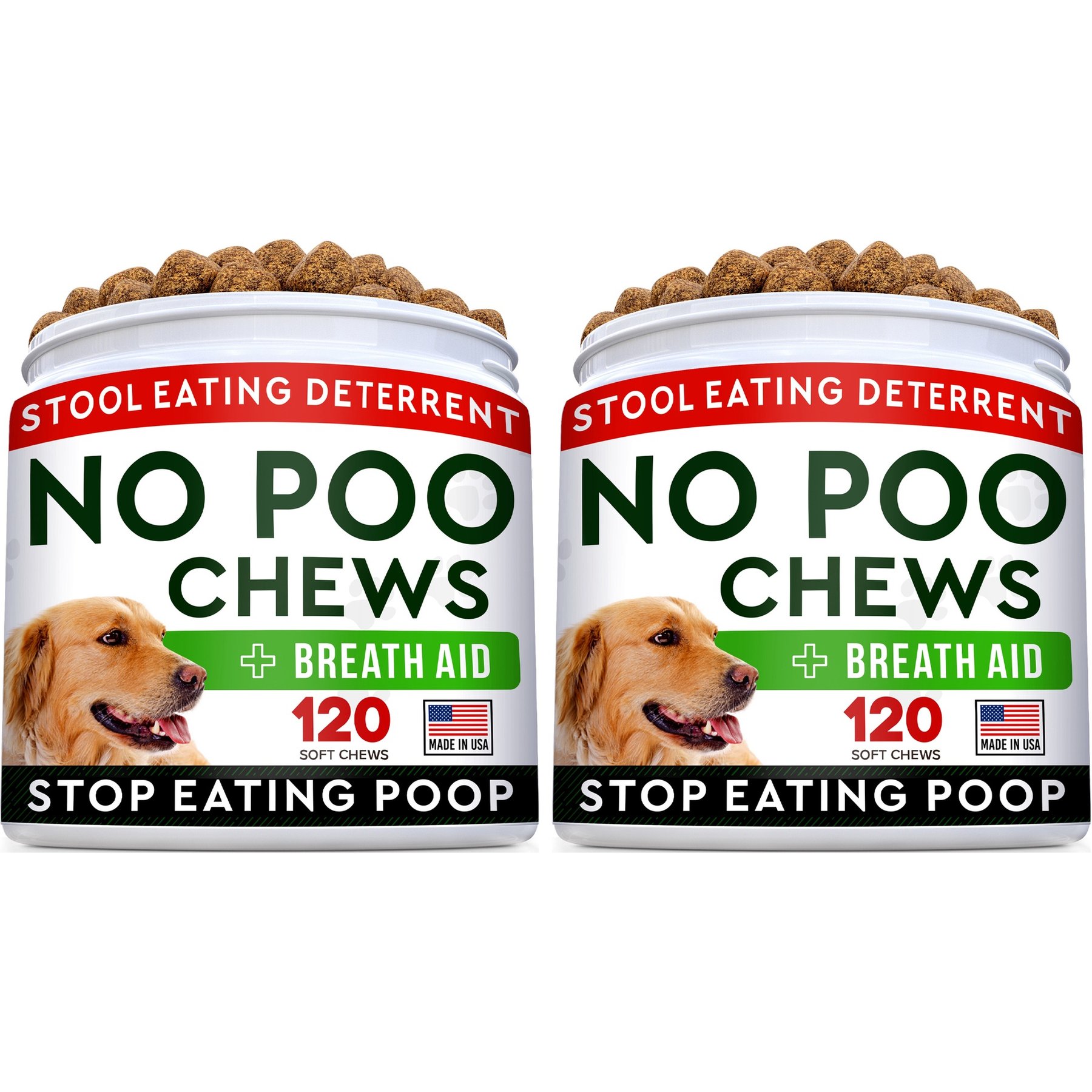 Dog Not Puppy Stopped Eating Food Diarrhea Dog Not Eating Or