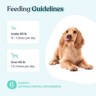 Show full view: Pawfy Turkey & Bacon Flavored Chews Probiotic Supplement for Dogs, 30 count, 90 count slide 7 of 8