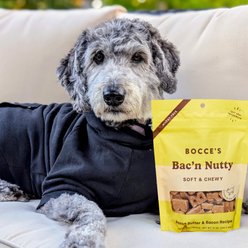 Bocce's Bakery Bac'n Nutty PB & Bacon Recipe Soft & Chewy Dog Treats, 12-oz bag slide 2 of 4