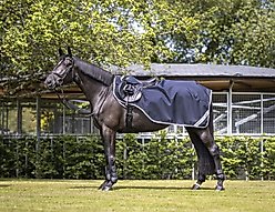LeMieux Arika Horse Exercise Sheet, Navy, Medium slide 2 of 2