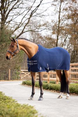 Show full view: LeMieux Arika Clima-Tek Horse Cooler Blanket, Navy, 69-in slide 4 of 9