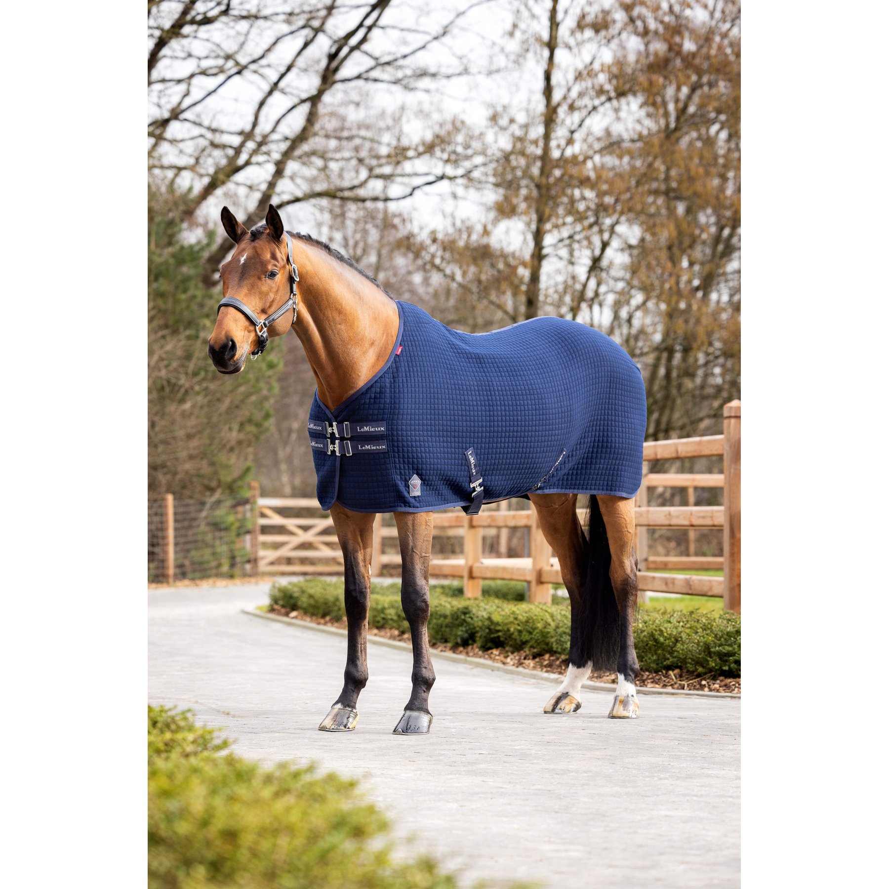 LeMieux Arika Clima-Tek Horse Cooler Blanket, Navy, 81-in