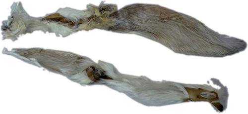 Show full view: HDP Rabbit Furry Ears Dog Chews, 5 count slide 4 of 5