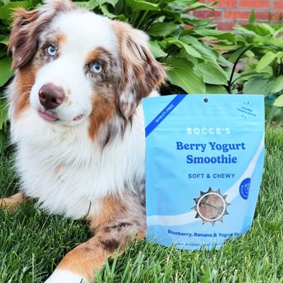 Show full view: Bocce's Bakery Berry Yogurt Smoothie Wellness Limited-Ingredient-Diet Adult Soft & Chewy Dog Treats, 12-oz bag slide 5 of 7