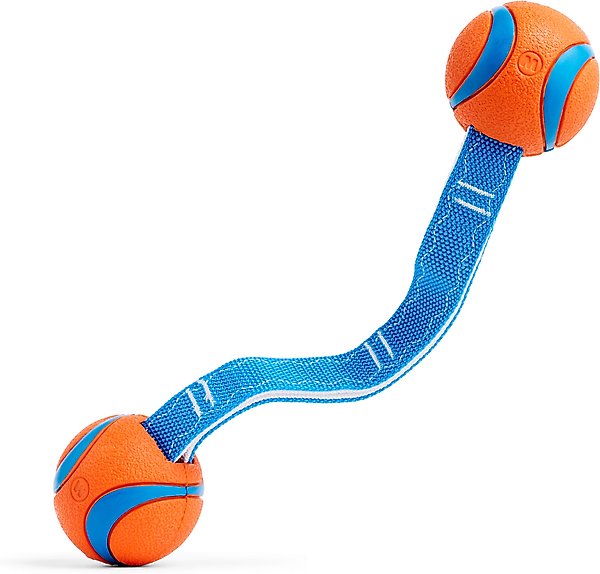 Chuckit! Ultra Duo Tug Tough Dog Toy
