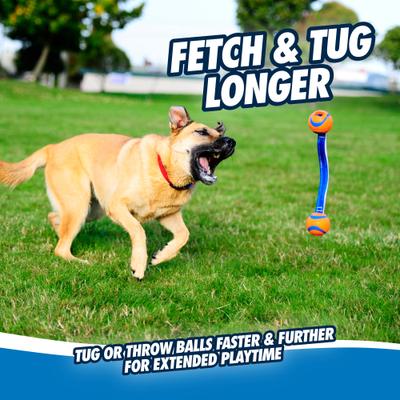 Show full view: Chuckit! Ultra Duo Tug Tough Dog Toy, Medium slide 2 of 5
