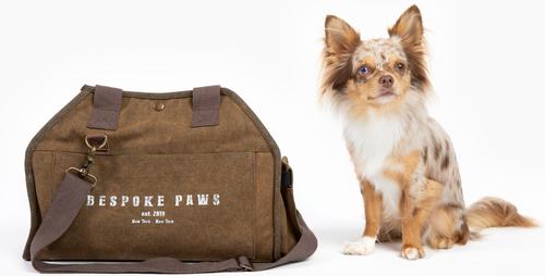 Show full view: Bespoke Paws The Daily Packable Dog Carrier, Army, Small slide 4 of 10