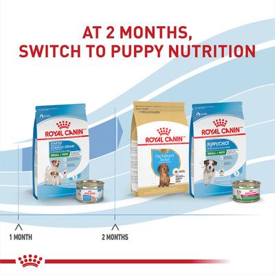 Show full view: Royal Canin Size Health Nutrition Small Starter Mother & Babydog Dry Dog Food, 2.5-lb bag slide 6 of 11