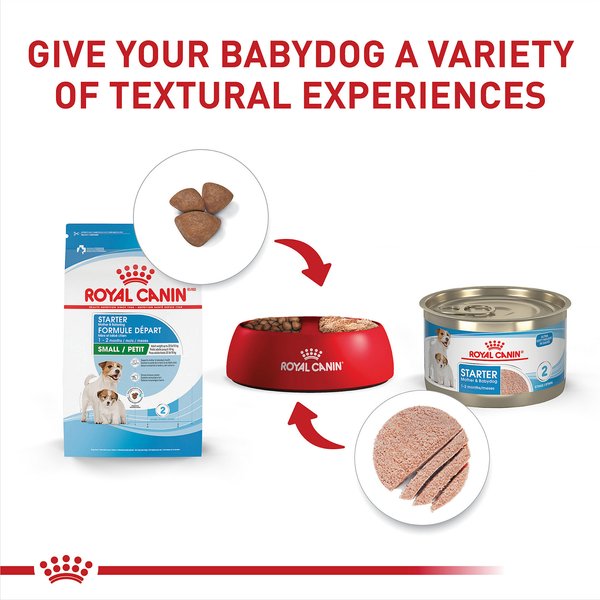 Royal Canin Starter Mousse Mother & Babydog Birth Program Dog Food Trays