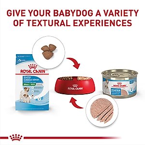 Royal Canin Size Health Nutrition Starter Mother & Babydog Mousse In Sauce Wet Dog Food, 5.1-oz can, case of 24