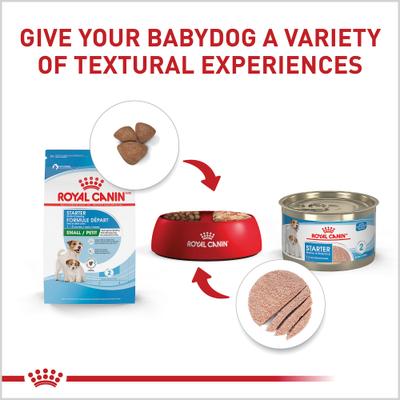 Show full view: Royal Canin Size Health Nutrition Starter Mother & Babydog Mousse In Sauce Wet Dog Food, 5.1-oz can, case of 24 slide 6 of 13