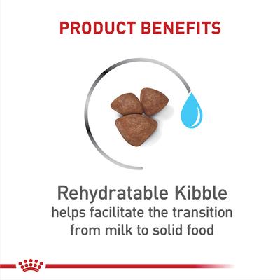 Show full view: Royal Canin Size Health Nutrition Small Starter Mother & Babydog Dry Dog Food, 2.5-lb bag slide 3 of 11