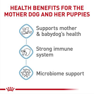 Show full view: Royal Canin Size Health Nutrition Small Starter Mother & Babydog Dry Dog Food, 2.5-lb bag slide 4 of 11