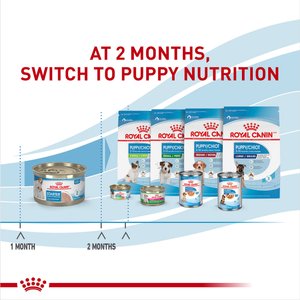 Royal Canin Size Health Nutrition Starter Mother & Babydog Mousse In Sauce Wet Dog Food, 5.1-oz can, case of 24