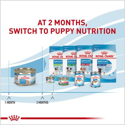 Show full view: Royal Canin Size Health Nutrition Starter Mother & Babydog Mousse In Sauce Wet Dog Food, 5.1-oz can, case of 24 slide 7 of 13