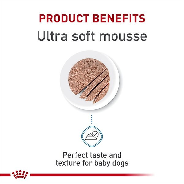 Royal Canin Size Health Nutrition Starter Mother & Babydog Mousse In Sauce Canned Dog Food