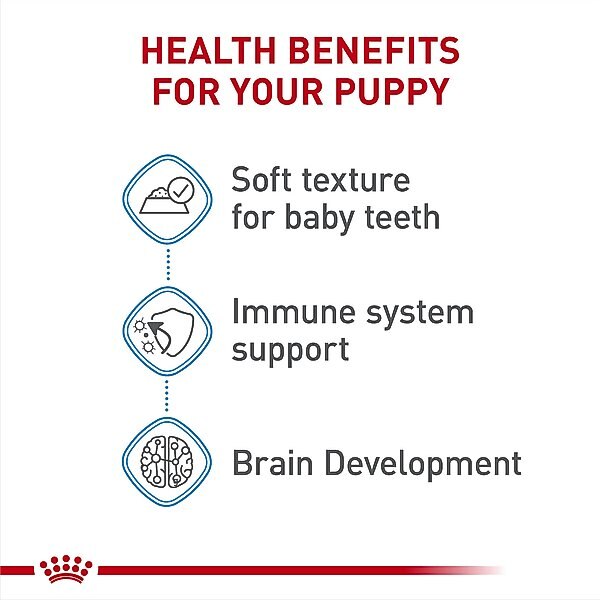 Royal Canin Size Health Nutrition Starter Mother & Babydog Mousse In Sauce Canned Dog Food