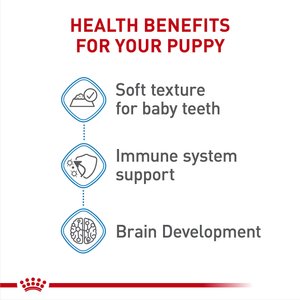 Royal Canin Size Health Nutrition Starter Mother & Babydog Mousse In Sauce Wet Dog Food, 5.1-oz can, case of 24