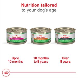 Royal Canin Canine Health Nutrition Beauty Loaf in Sauce Wet Dog Food, 5.2-oz can, case of 24