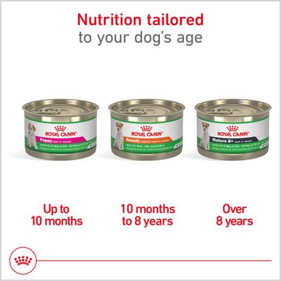 Show full view: Royal Canin Canine Health Nutrition Beauty Loaf in Sauce Wet Dog Food, 5.2-oz can, case of 24 slide 5 of 11