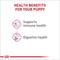 Show in main carousel: Royal Canin Canine Health Nutrition Puppy Appetite Stimulation Loaf in Sauce Wet Dog Food, 5.2-oz can, case of 24 slide 5 of 13