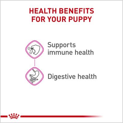 Show full view: Royal Canin Canine Health Nutrition Puppy Appetite Stimulation Loaf in Sauce Wet Dog Food, 5.2-oz can, case of 24 slide 5 of 13
