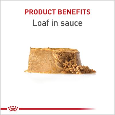 Show full view: Royal Canin Canine Health Nutrition Puppy Appetite Stimulation Loaf in Sauce Wet Dog Food, 5.2-oz can, case of 24 slide 4 of 13