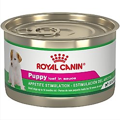 Royal Canin Canine Health Nutrition Puppy Appetite Stimulation Loaf in Sauce Wet Dog Food, 5.2-oz can, case of 24