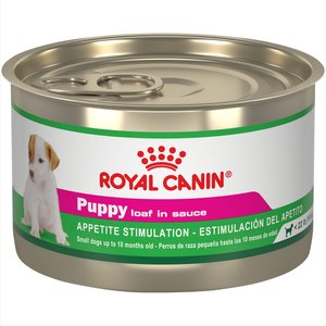 ROYAL CANIN Canine Health Nutrition Mature 8+ Loaf In Sauce Wet