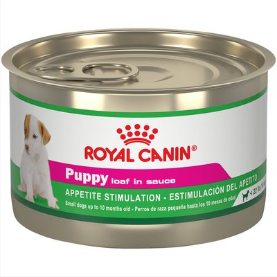 Royal Canin Royal Canin Canine Health Nutrition Puppy Appetite Stimulation Loaf in Sauce Wet Dog Food, 5.2-oz can, case of 24