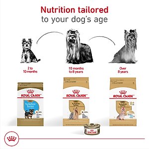 Royal Canin Breed Health Nutrition Yorkshire Terrier Adult Dry Dog Food, 10-lb bag