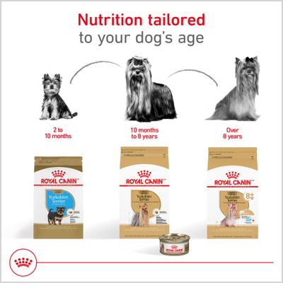 Show full view: Royal Canin Breed Health Nutrition Yorkshire Terrier Adult 8+ Dry Dog Food, 2.5-lb bag slide 5 of 11
