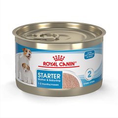 Royal Canin Size Health Nutrition Starter Mother & Babydog Mousse In Sauce Wet Dog Food, 5.1-oz can, case of 24