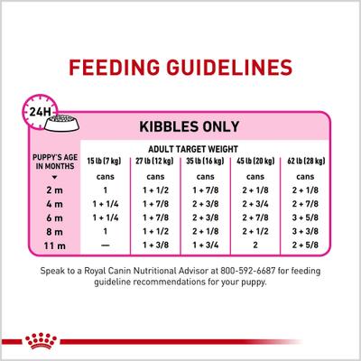 Show full view: Royal Canin Canine Health Nutrition Puppy Appetite Stimulation Loaf in Sauce Wet Dog Food, 5.2-oz can, case of 24 slide 10 of 13