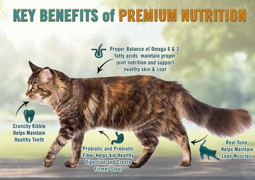 Show full view: Chicken Soup for the Soul Indoor with Hairball Care Tuna & Brown Rice Recipe Dry Cat Food, 12-lb bag slide 5 of 12