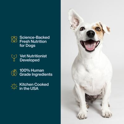 Show full view: JustFoodForDogs JustFresh Human Grade Home-Cooked Chicken Recipe Fresh Dog Food, 12-oz pouch, bundle of 14  slide 5 of 9