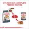 Show in main carousel: Royal Canin Feline Care Nutrition Hair & Skin Care Chunks in Gravy Pouch Cat Food, 3-oz, case of 12 slide 8 of 12