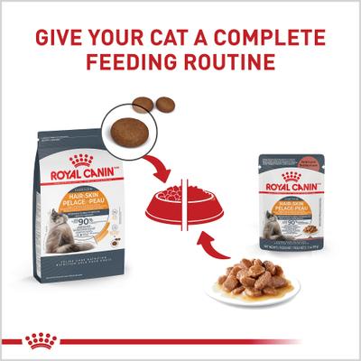 Show full view: Royal Canin Feline Care Nutrition Hair & Skin Care Chunks in Gravy Pouch Cat Food, 3-oz, case of 12 slide 8 of 12