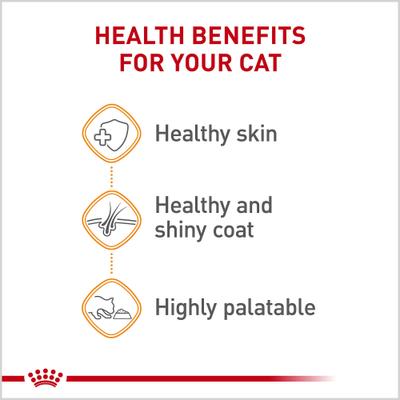 Show full view: Royal Canin Feline Care Nutrition Hair & Skin Care Chunks in Gravy Pouch Cat Food, 3-oz, case of 12 slide 6 of 12