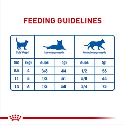 Royal Canin Feline Health Nutrition Indoor Long Hair Adult Dry Cat Food, 6-lb bag slide 2 of 9