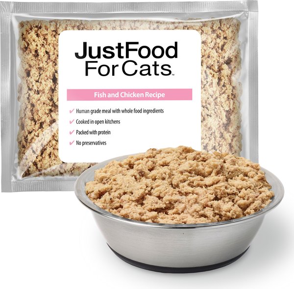 Vet Approved Home Cooked Cat Food Recipe Recipe Home Prepared Cat